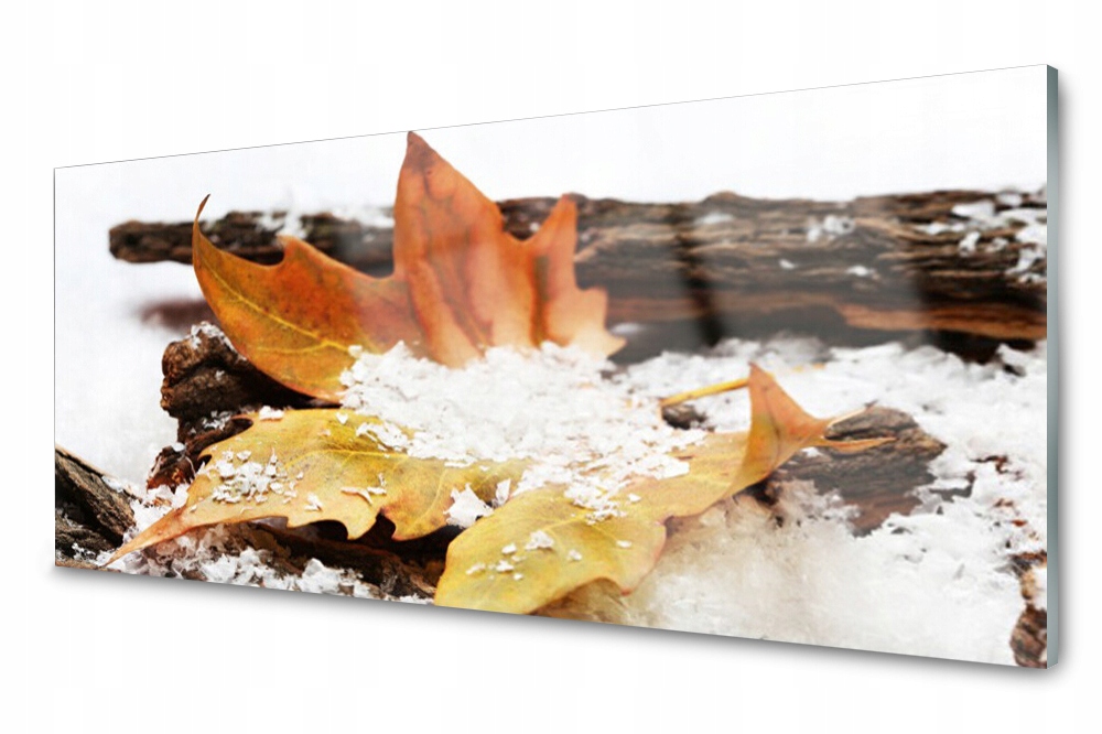 

Panel szklany do kuchni Liść Las Jesień 125x50