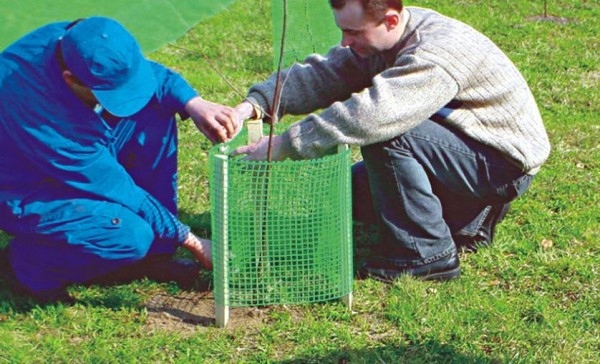 Siatka Rabatowa Ogrodzeniowa Plastikowa 80cm Nova Grubość drutu 0 mm