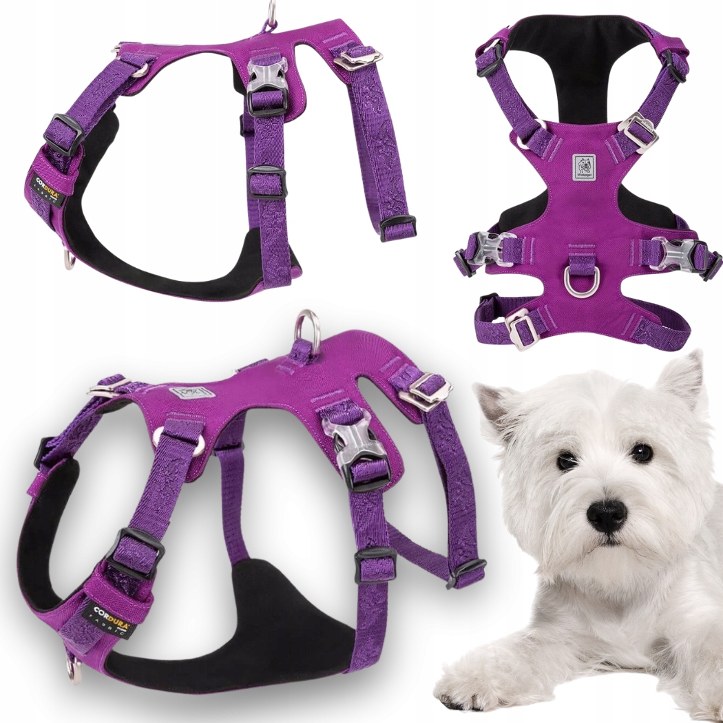 Protiúnikové Obojky Pro Psa Voděodolné Winhyepet Escape Soft Fialové