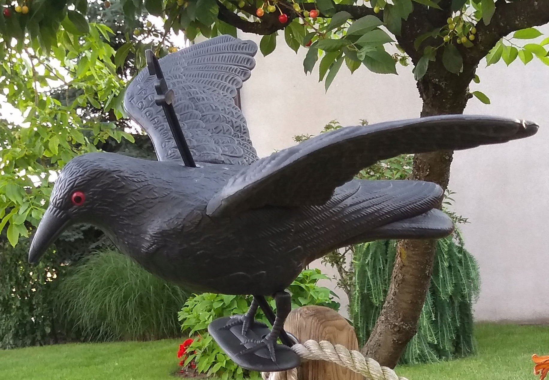 Duży kruk do lotu odstraszacz kolor oczy !! Kod producenta kdl2