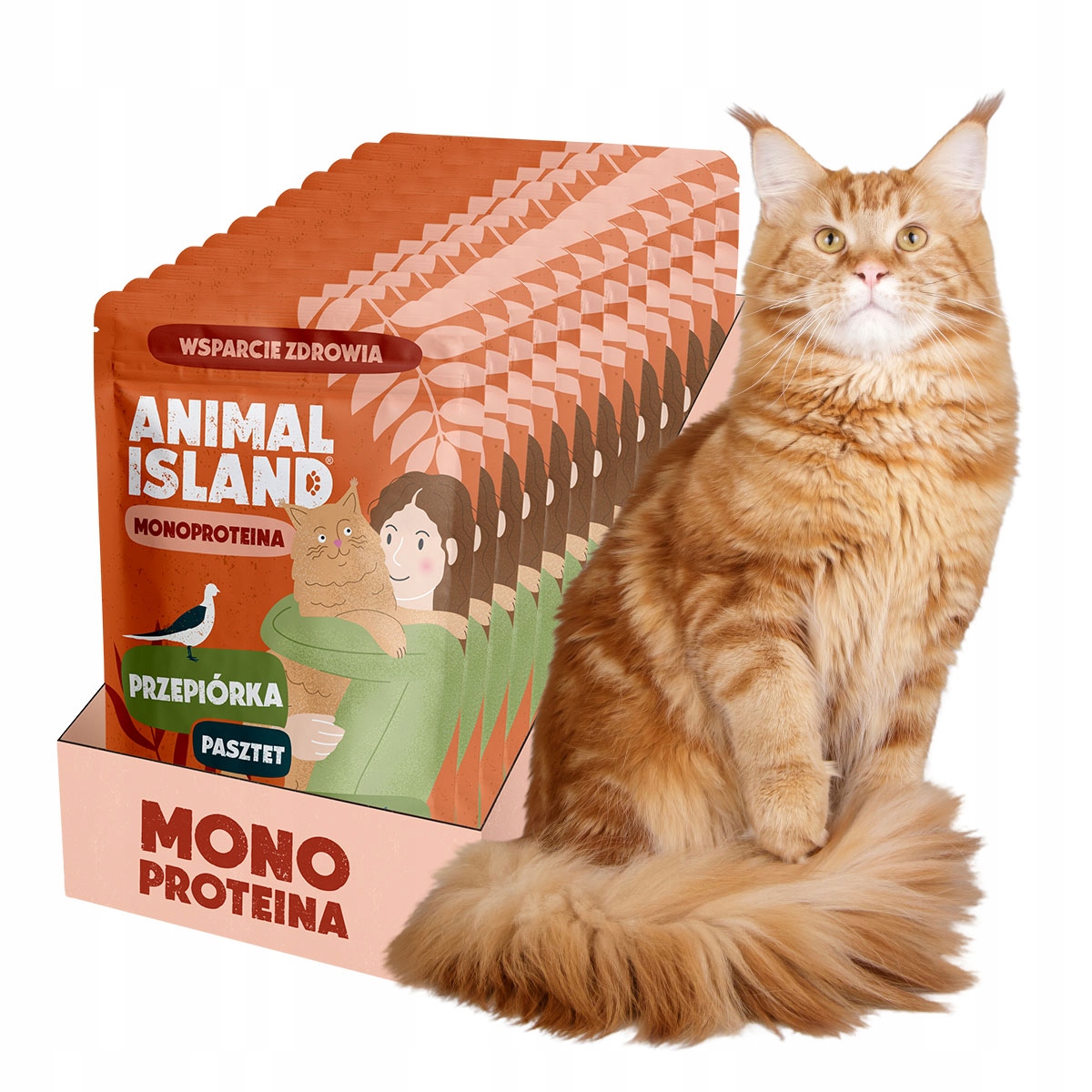 Animal Island Karma Mokra dla Kota Monoproteinowa Przepiórka-Zestaw 10x100g