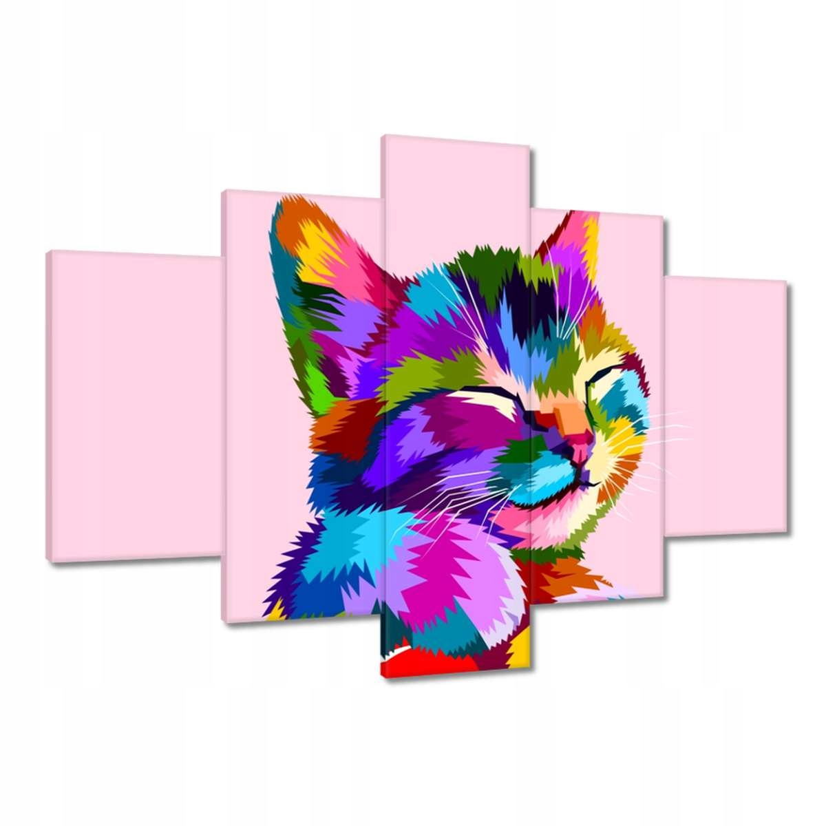 Obrazy 150x105 Kočka Kotě Kočky Kočka