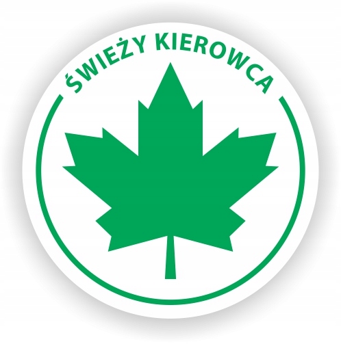 

2x Zielony Listek Młodego Kierowcy Klej Od Środka