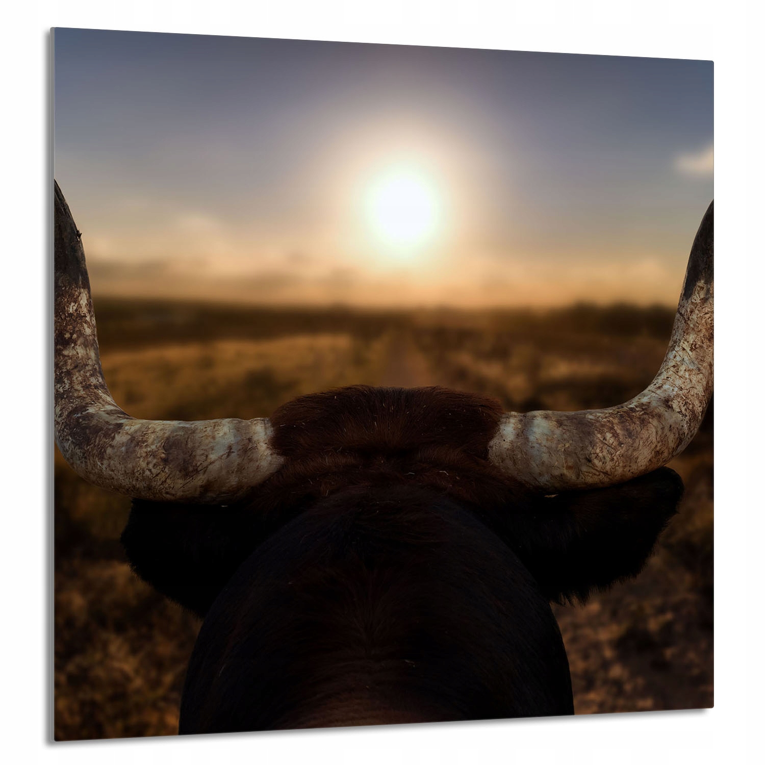 Skleněný Panel Do Kuchyně 60x65 Slunce Tvrzené Sklo