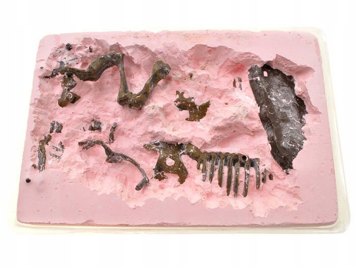 Szkielet Mamuta 3D wykopaliska zestaw ZA1777 B Kolor dominujący wielokolorowy