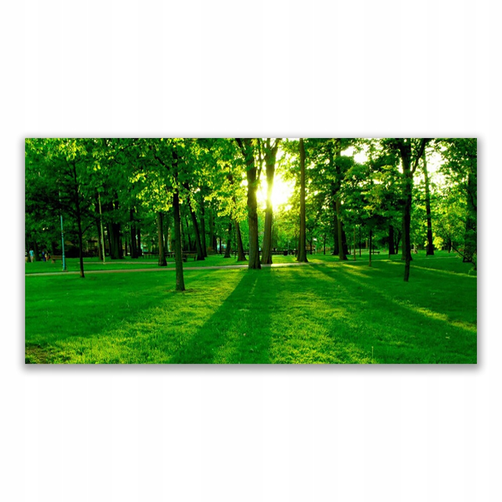 

Obraz z grafiką na ścianę 140x70 Las Park Natura