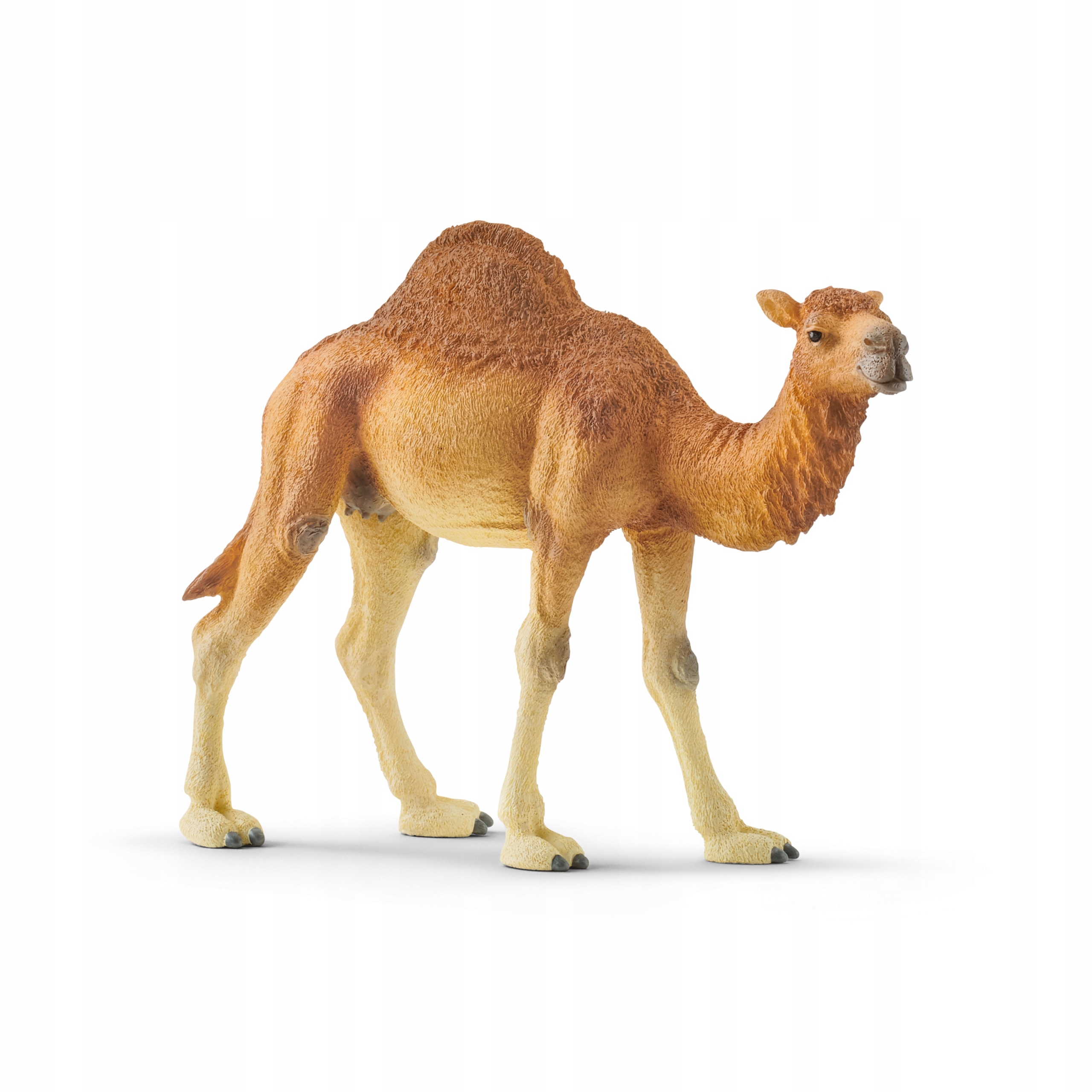 

Schleich Wielbłąd Dromader 14832