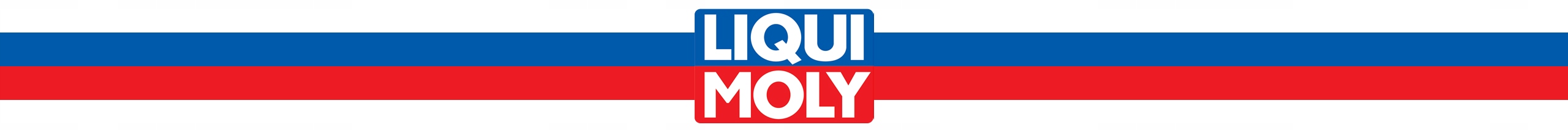 LIQUI MOLY SONDA DO CZYSZCZENIA DPF FAP 7945 Manufacturer catalog number 7945