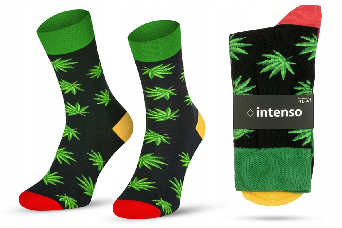 

Kolorowe Skarpety Męskie Intenso Liście 44-46