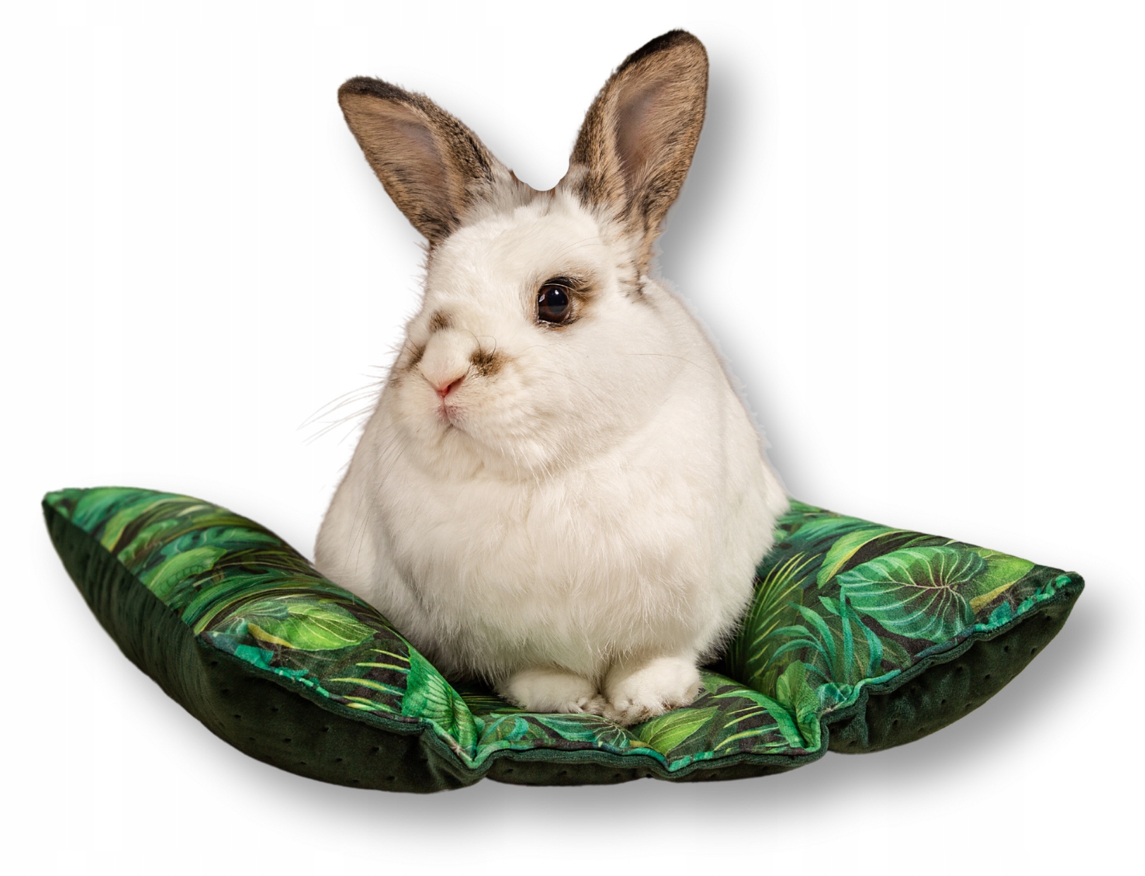 Kraina Tuptusia pelíšek pro králíka Hot-dog