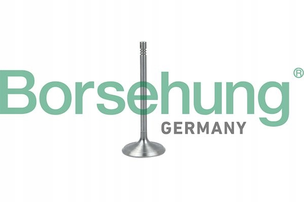 ZAWÓR DOLOTOWY SSĄCY B19017 BORSEHUNG Stan opakowania oryginalne