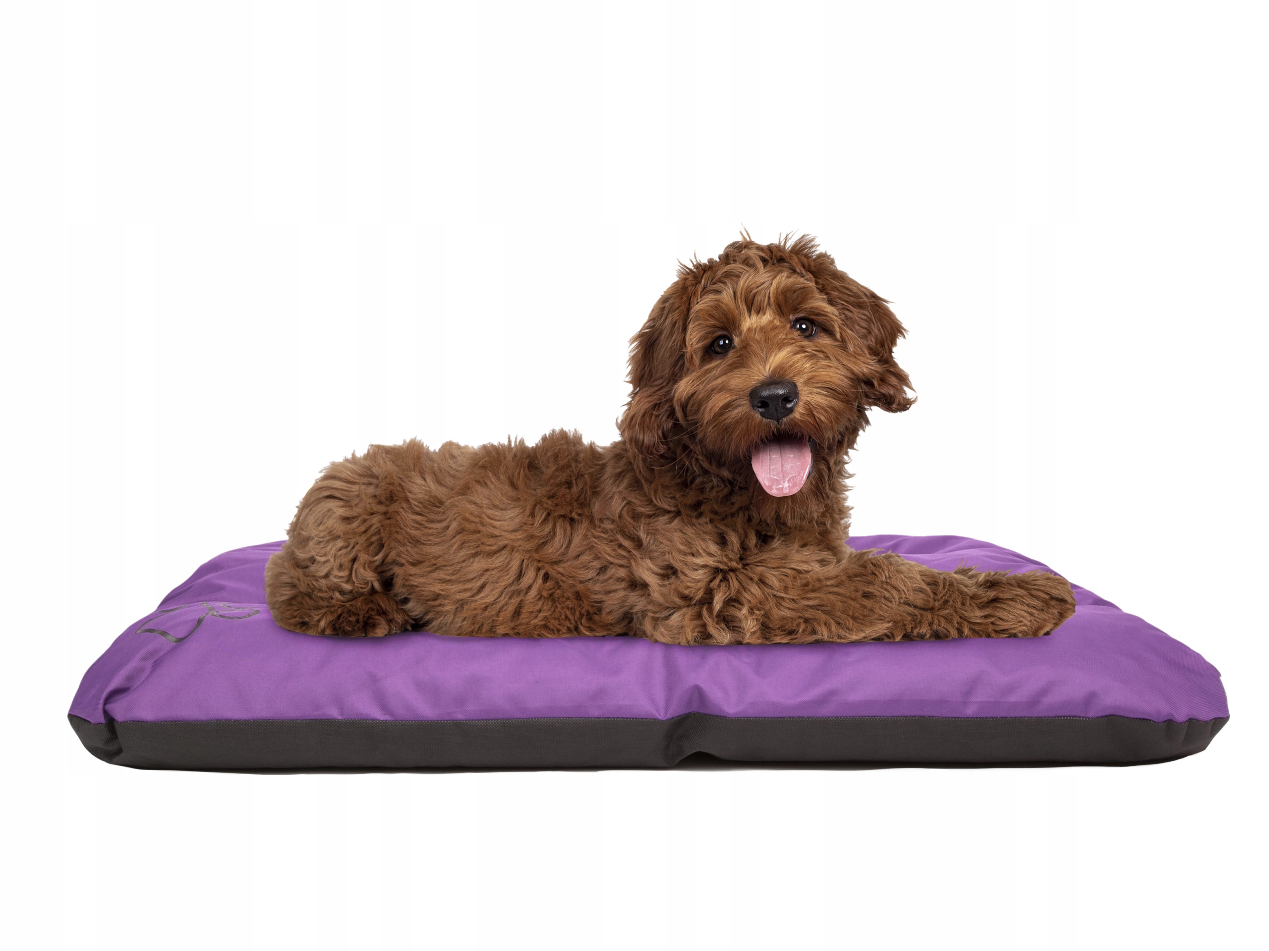 Levně Matrace Eco, pelíšek Hobbydog pro psa R3: 115x80