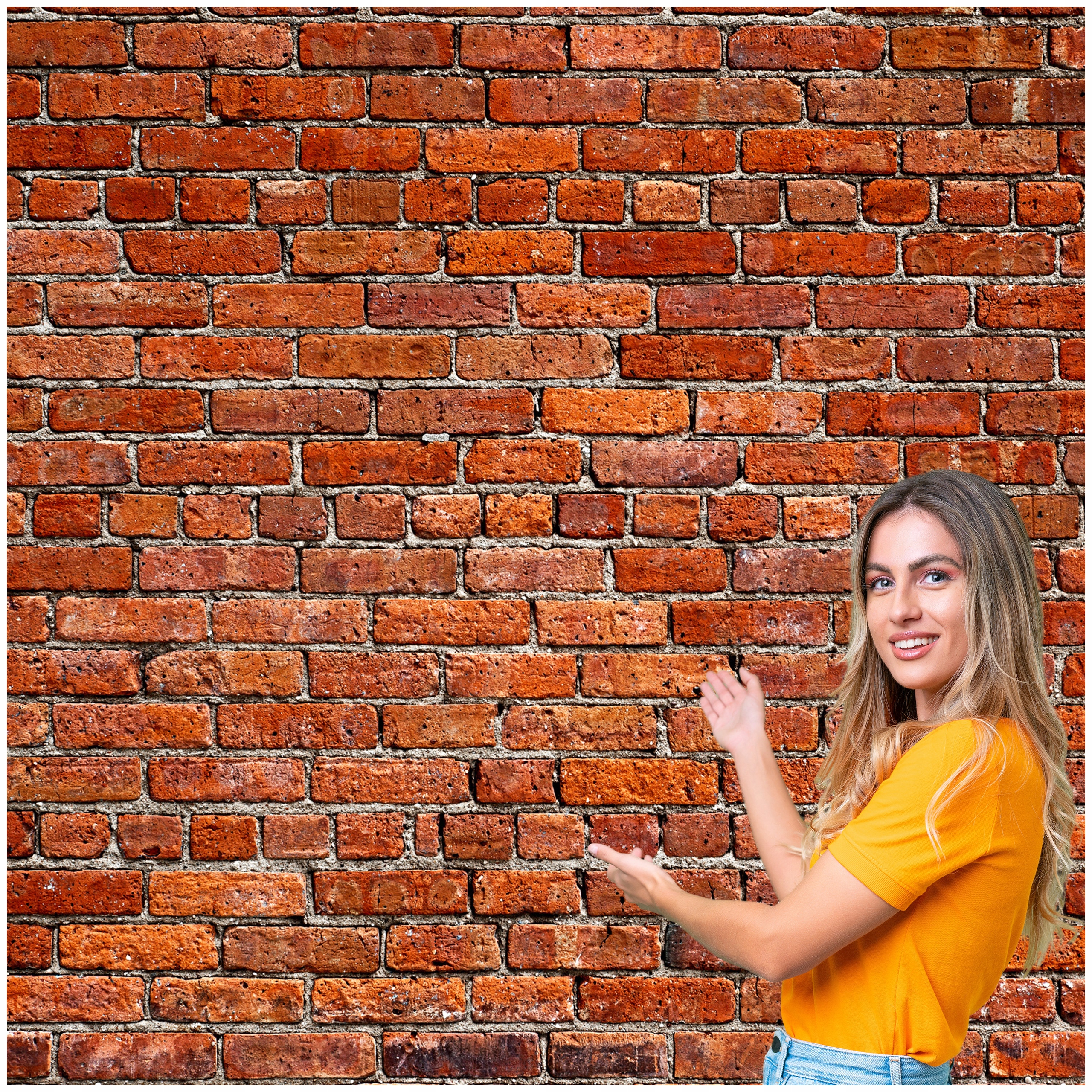 Fototapeta 3D Pozadí Textura Cihlová zeď 392x280 TLA27W