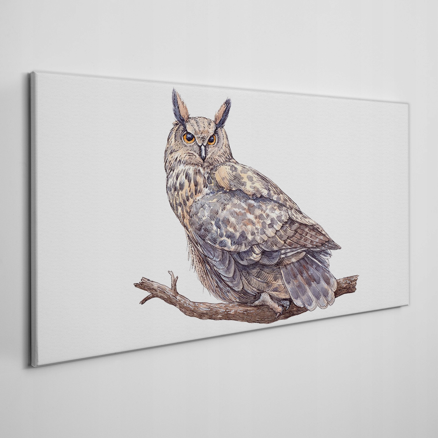 

Obraz płótno Malarstwo zwierzę ptak sowa 100x50 cm