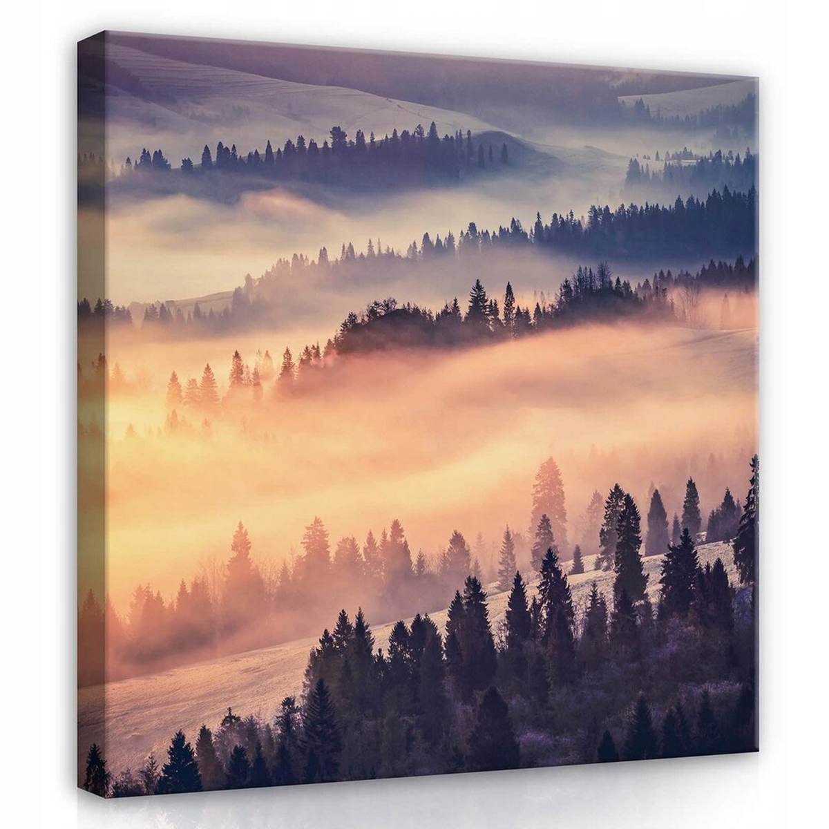 Obraz Na Plátně Canvas 80x80 Hory Les Slunce