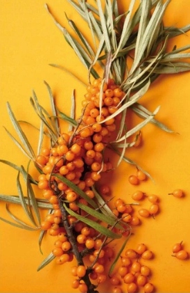 SUPERFOOD CONTEMPORA SPRAY VOLUME OBJĘTOŚĆ 200 ML Marka inna marka