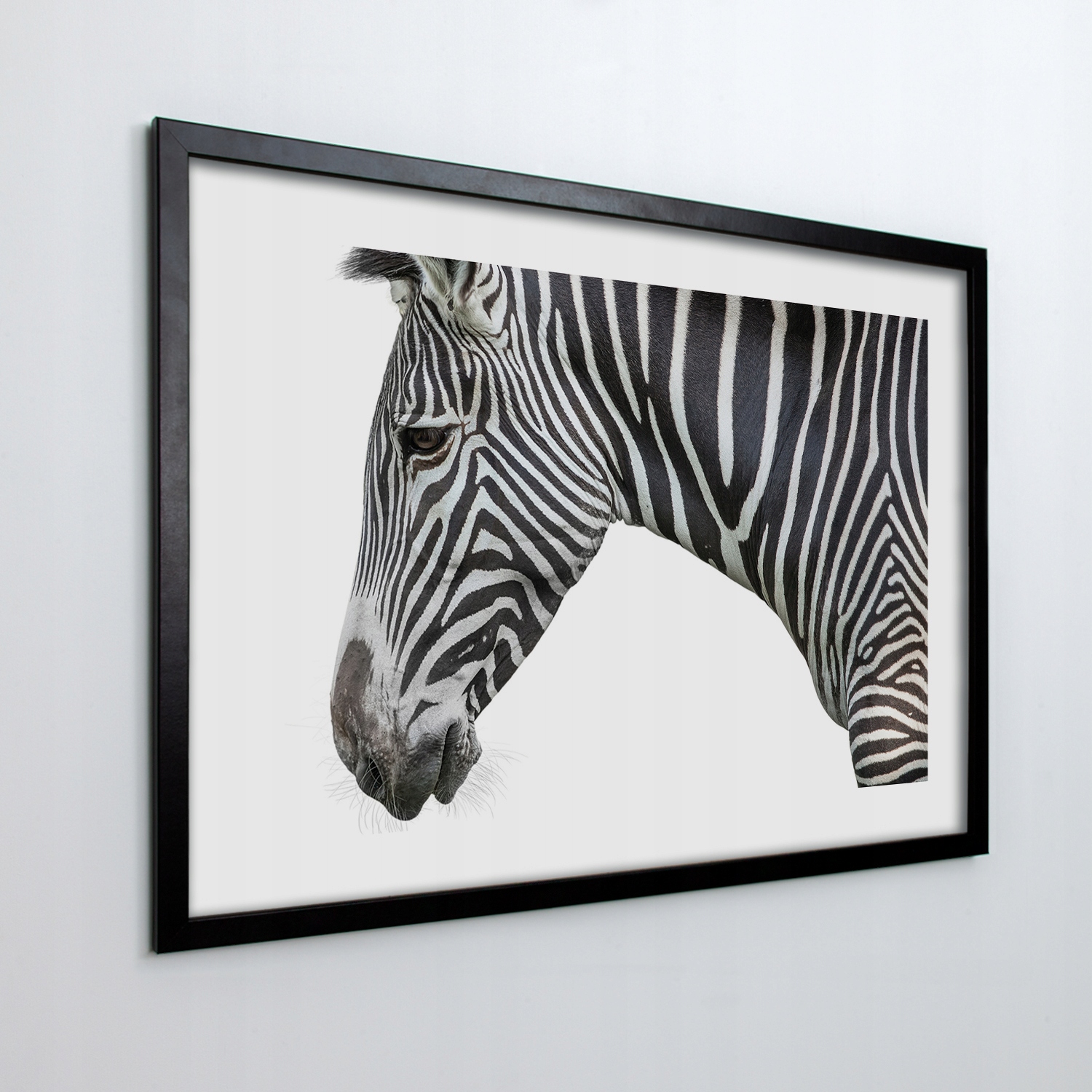 Obraz v rámu na zeď Zebra hlava pruhy 70x50 cm
