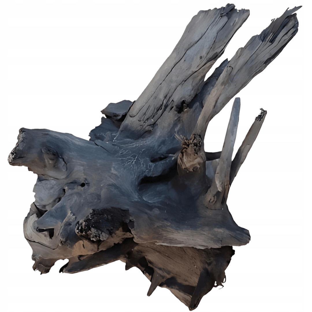 Kořen do akvária Buddha Driftwood Dekorace Terárium Úkryt 41-50 cm