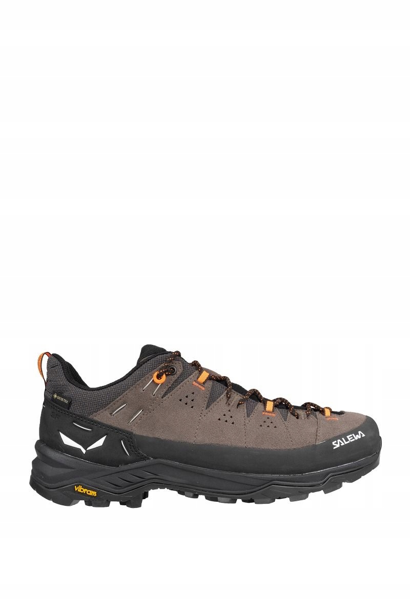 Salewa Pánské trekové boty Alp Trainer 2 Gtx hnědé uk_8,5_42,5