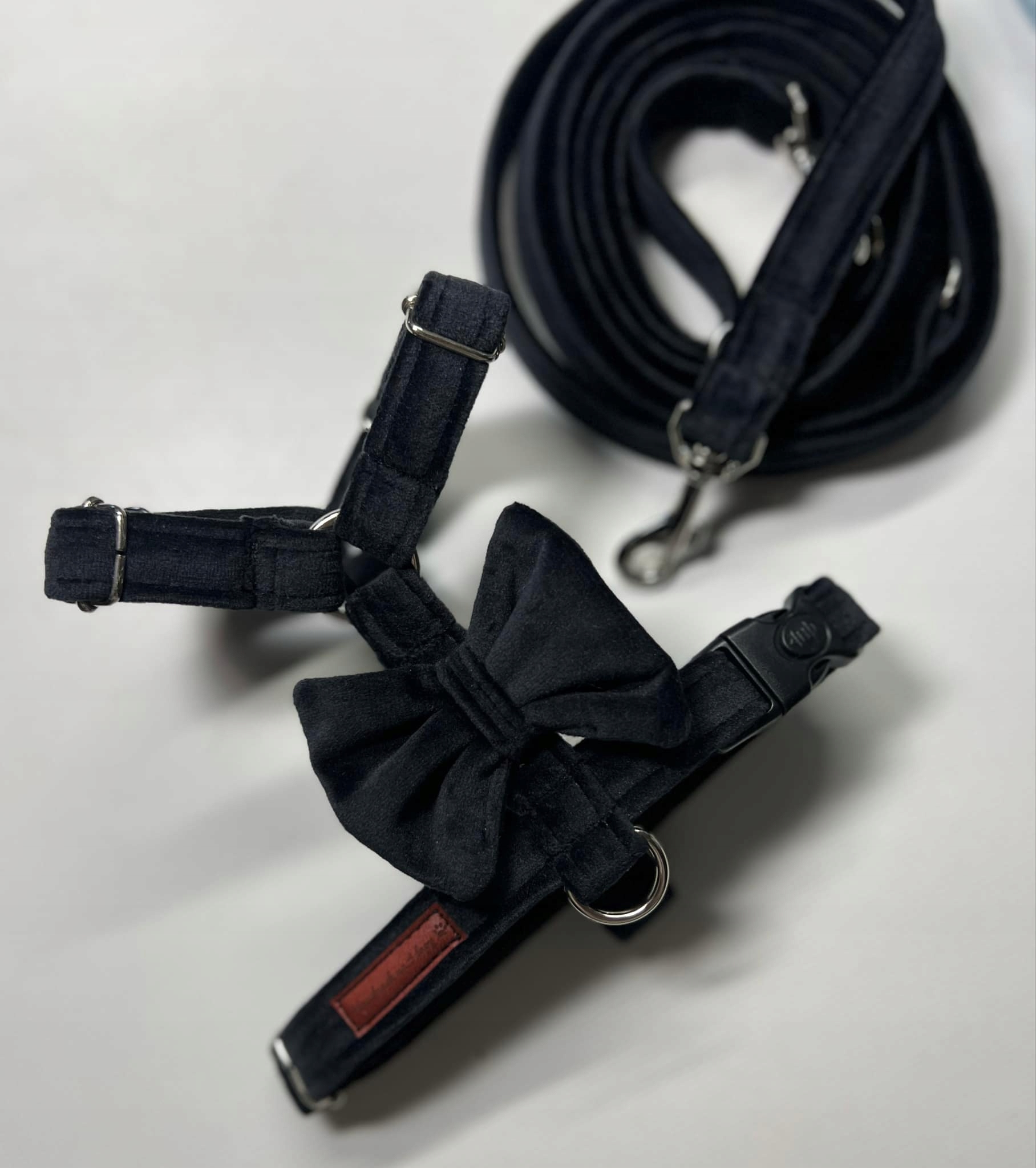 Levně Postroj, vázací vodítko mašle mašle