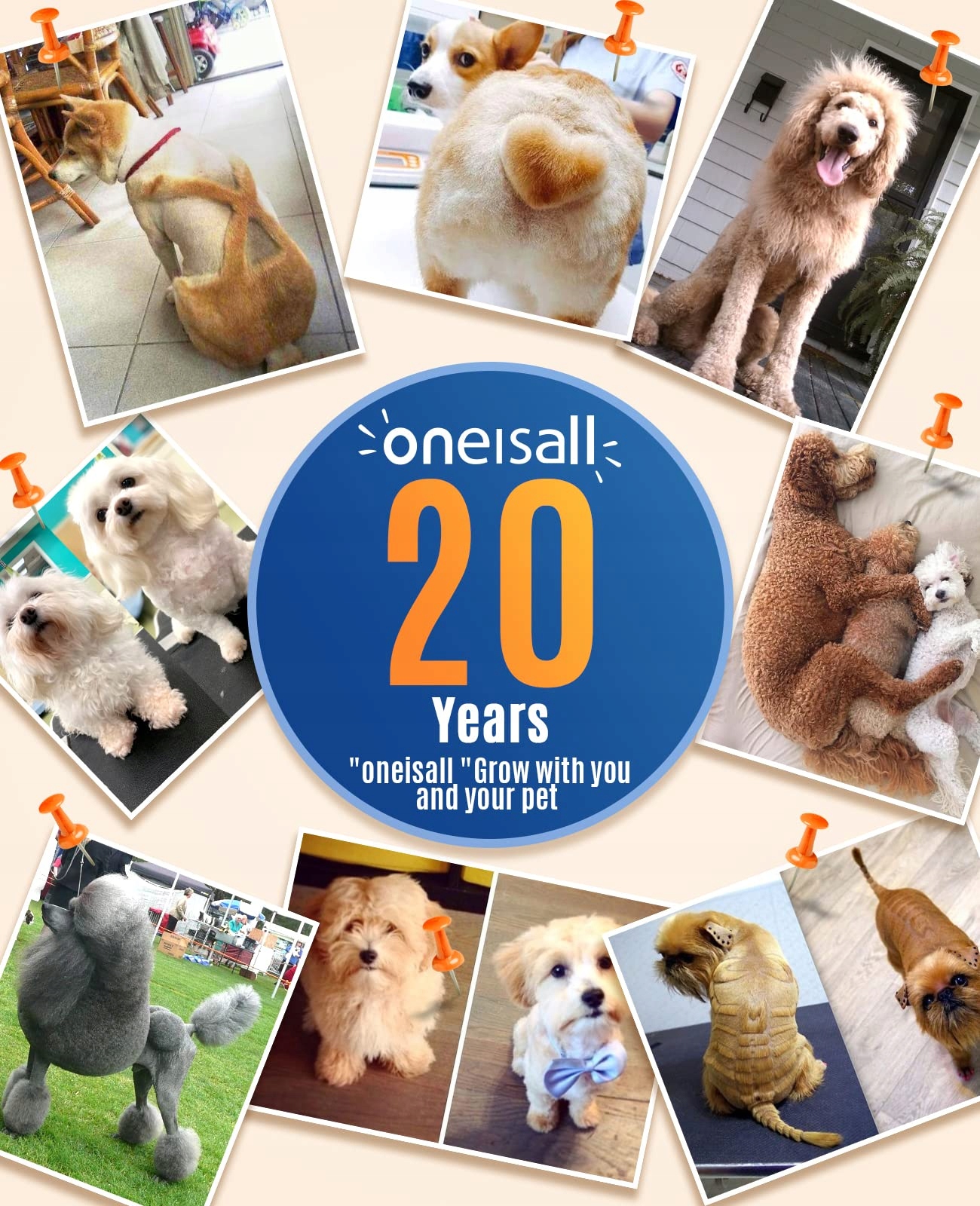 ONEISALL Trymer Do Psich Łapek Z Podwójnymi Ostrzami Cichy Dwubiegowy — miniatura 7