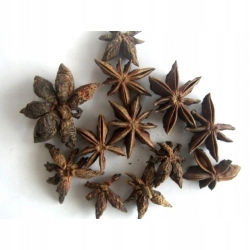 Levně Anýz hvězdičky 1 kg Rafex