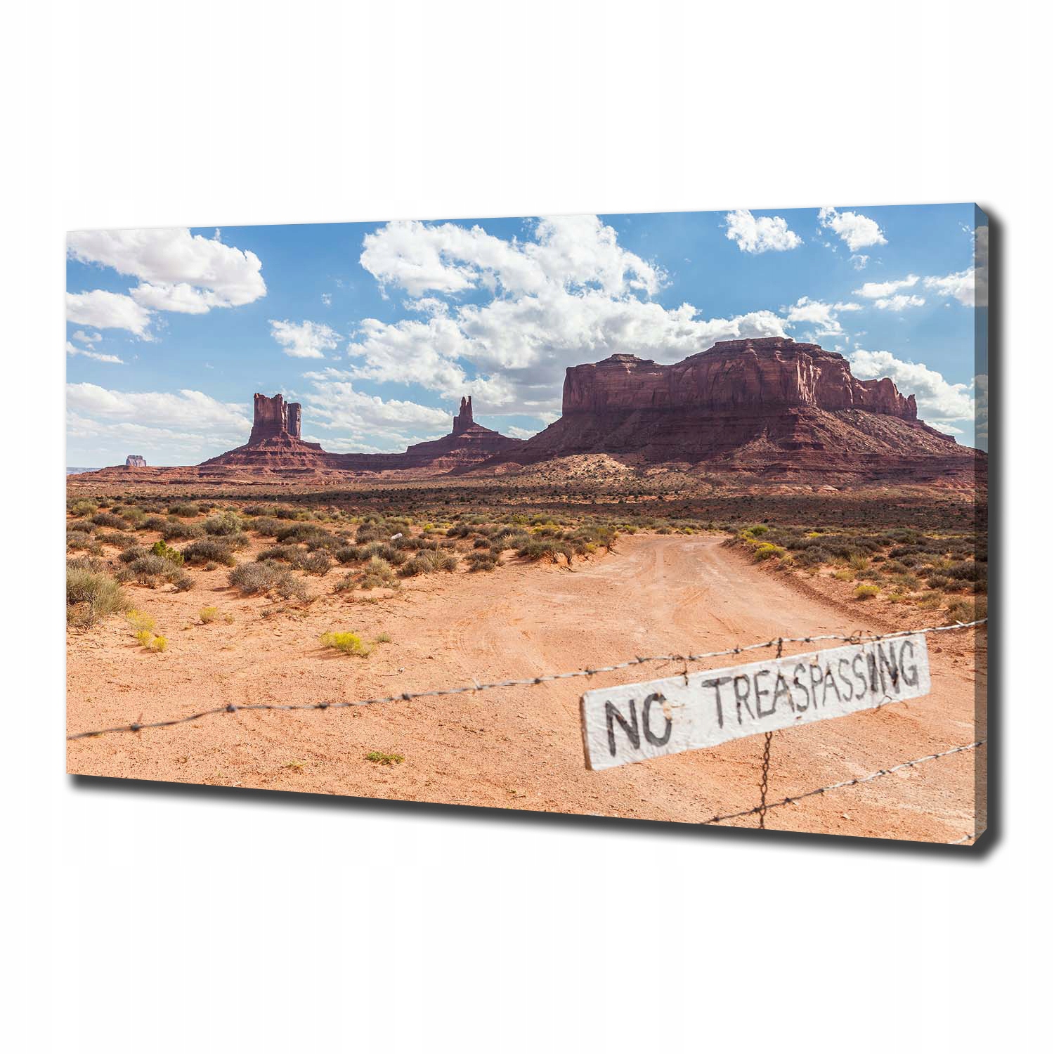 

Foto obraz canvas na ścianę Arizona Usa 100x70 cm