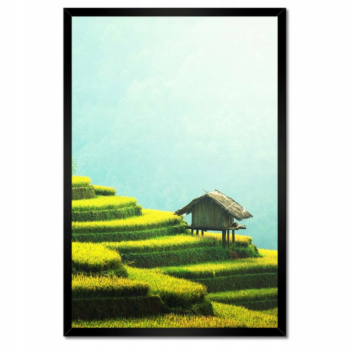 Plakáty v rámu 40x60 Tropické terasy Zeleň