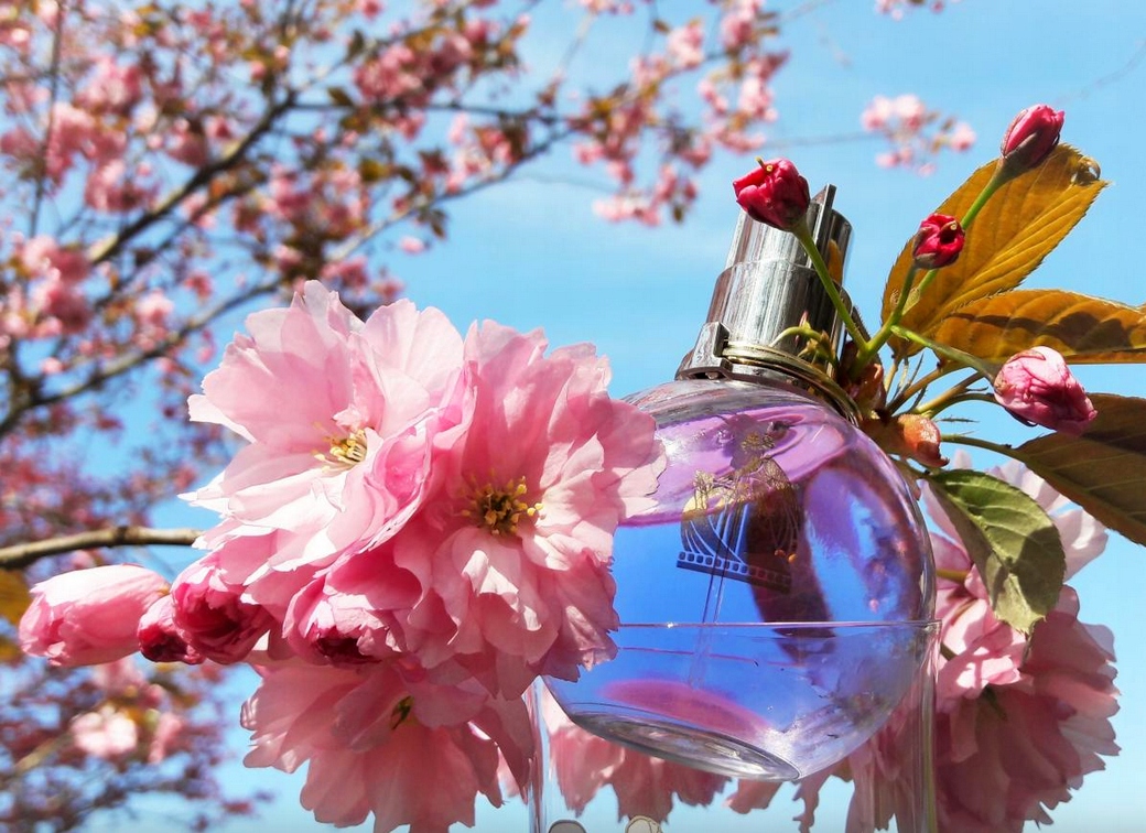 LANVIN ECLAT D'ARPEGE EDP 100ML FLAKON BEZ KORKA Pojemność opakowania 100 ml