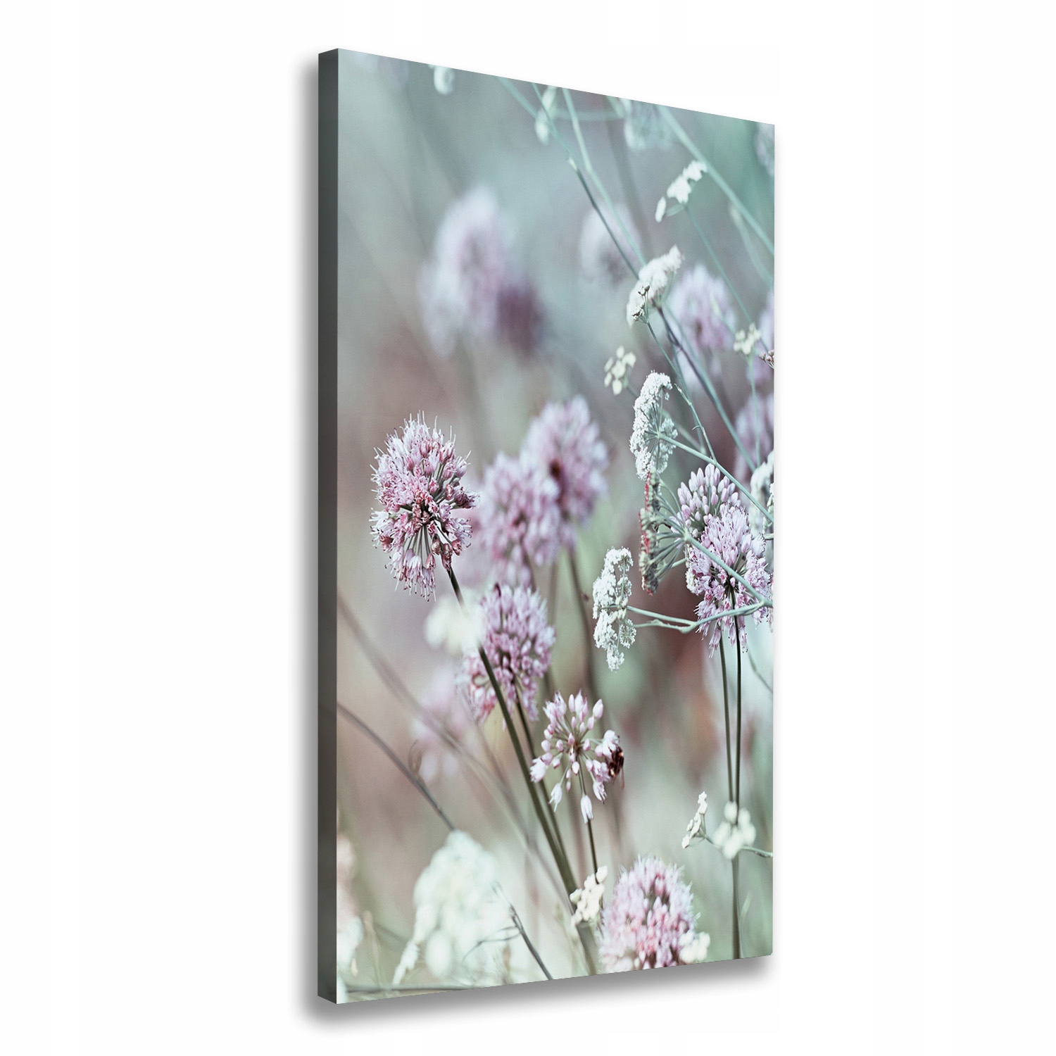 

Foto obraz na płótnie Kwiaty czosnku 60x120 cm