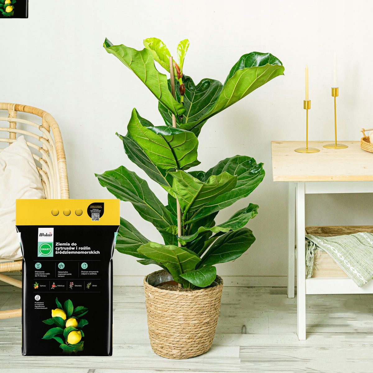 Ziemia do CYTRUSÓW I ROŚLIN ŚRÓDZIEMNOMORSKICH 20L Pojemność 20 l