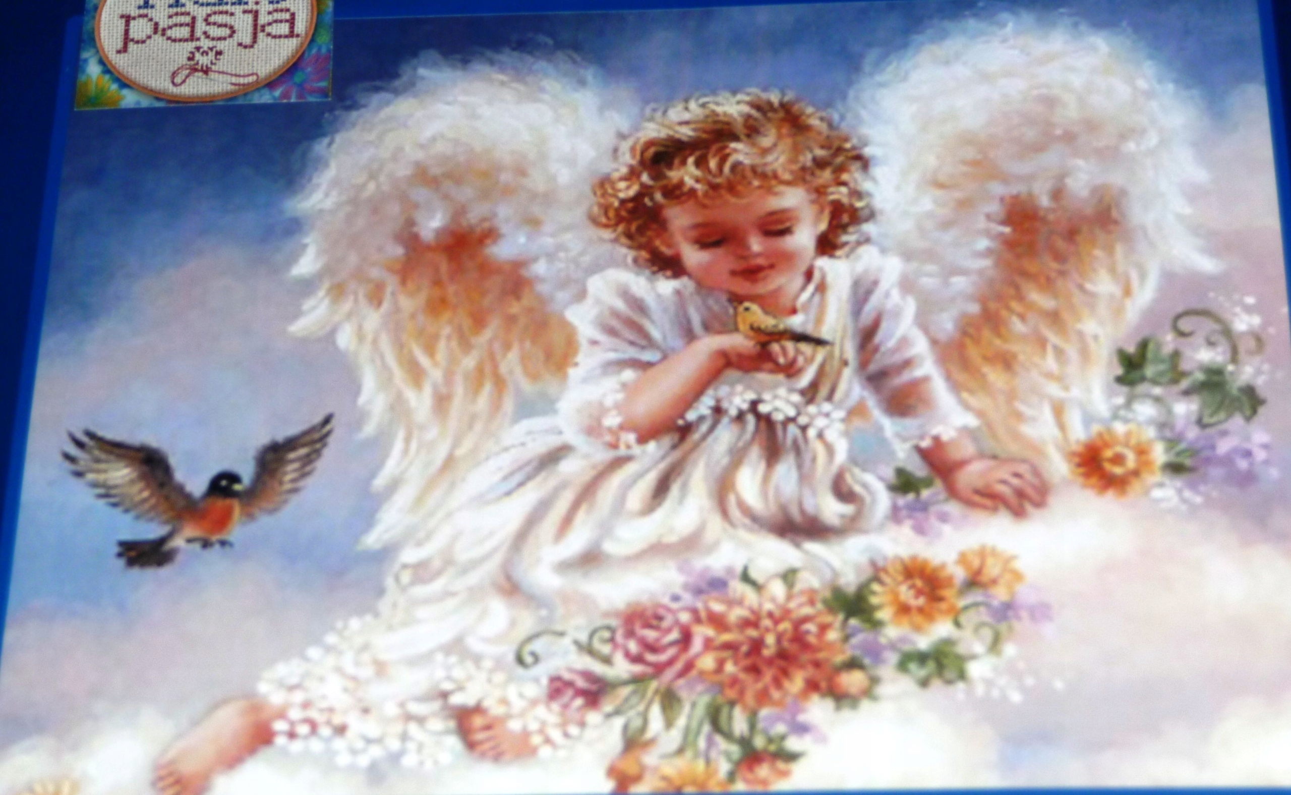 Křížková výšivka počítaná sada (kanva, mulina)