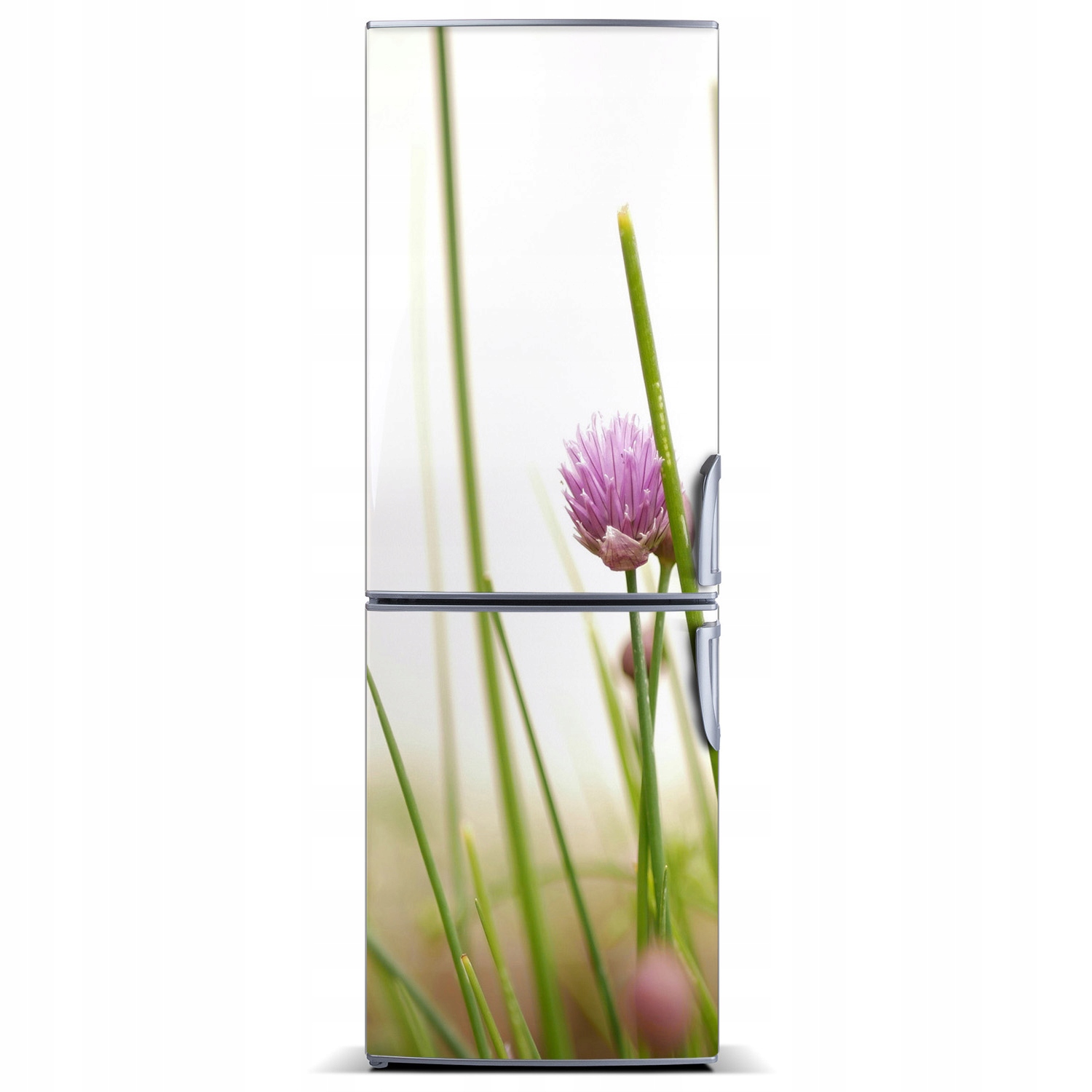 

Magnes Magnes Tapeta na lodówkę Szczypiorek 60x180