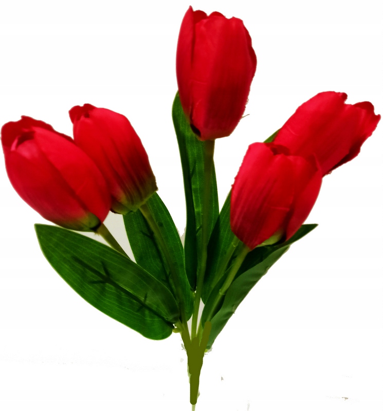 

Tulipany Bukiet 5 Główek Czerwone