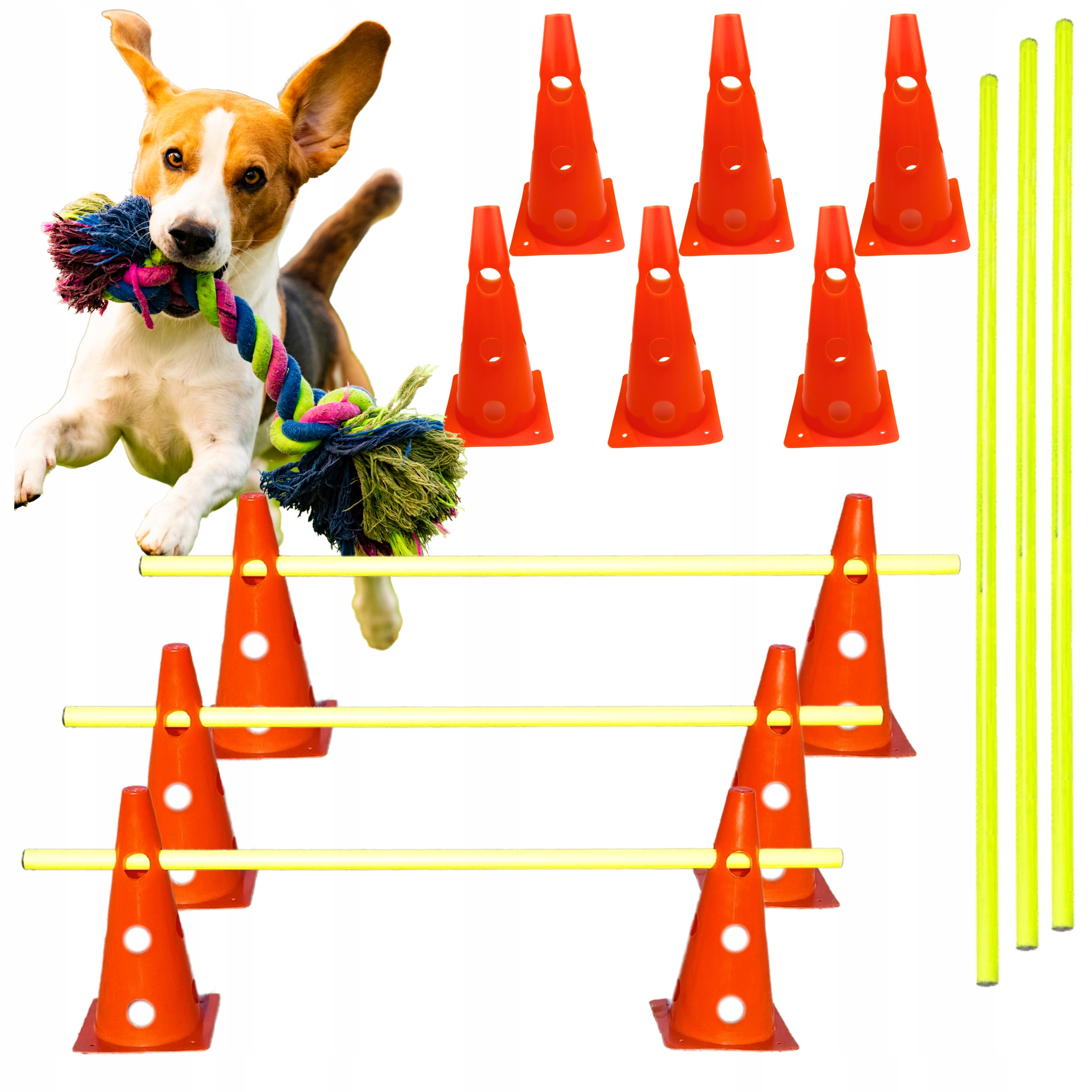 Tor Przeszkód Pachołki Trening Szkolenie Psa Dog Activity Agility 3x Skok