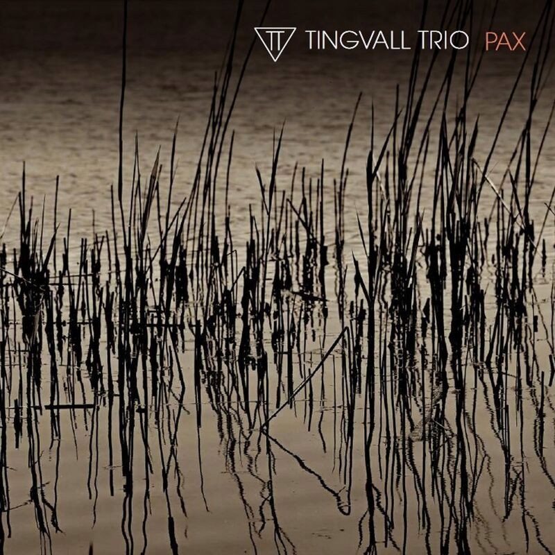 winyl Tingvall Trio Pax