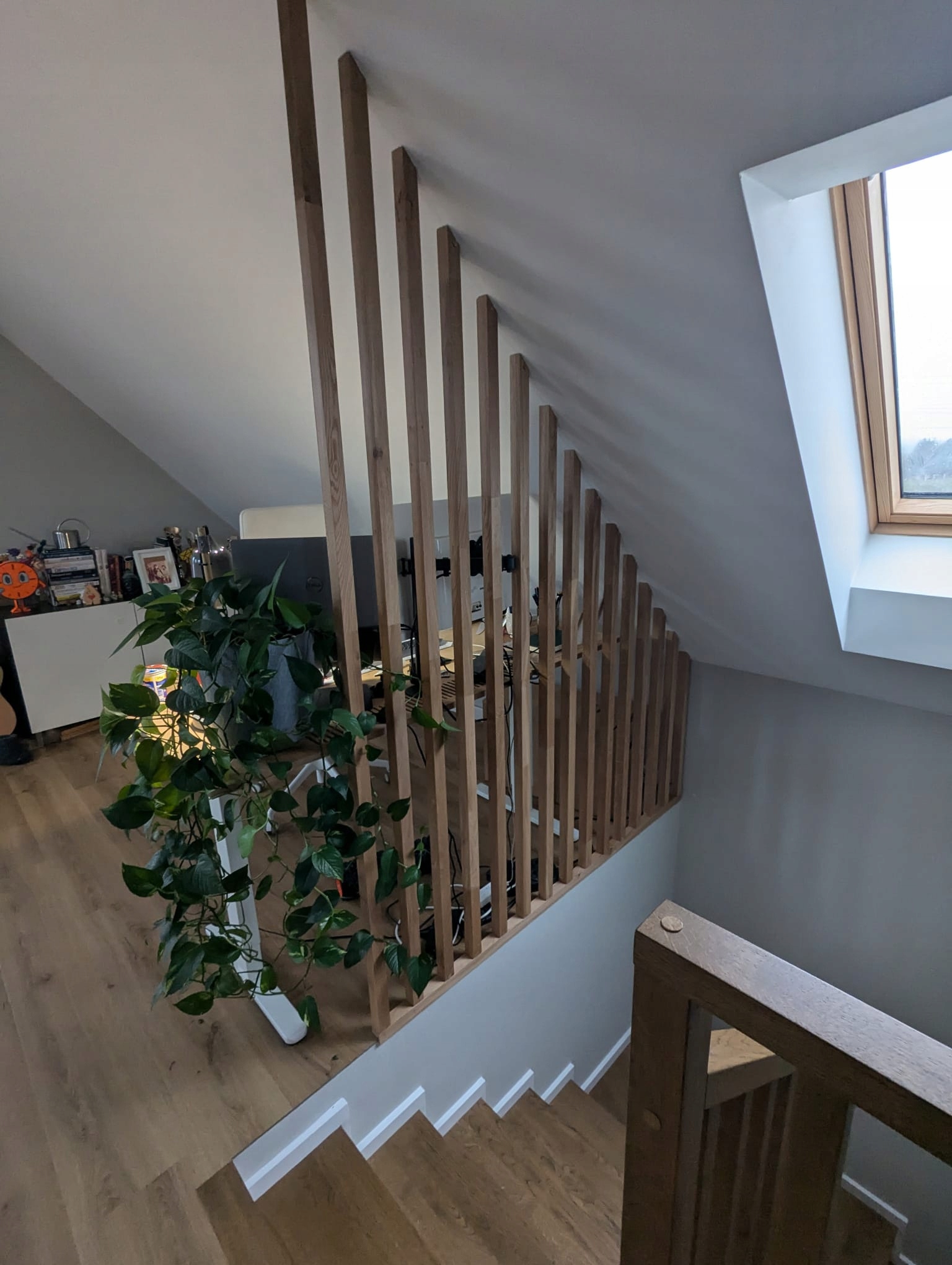 LAMELE SKOŚNE 100% LITE DREWNO - DĄB