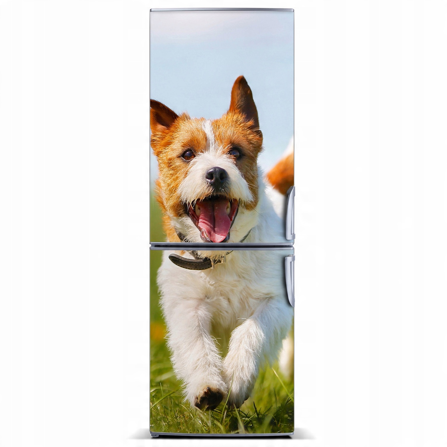 

Mata magnetyczna na lodówkę Pies Jack Russell XL