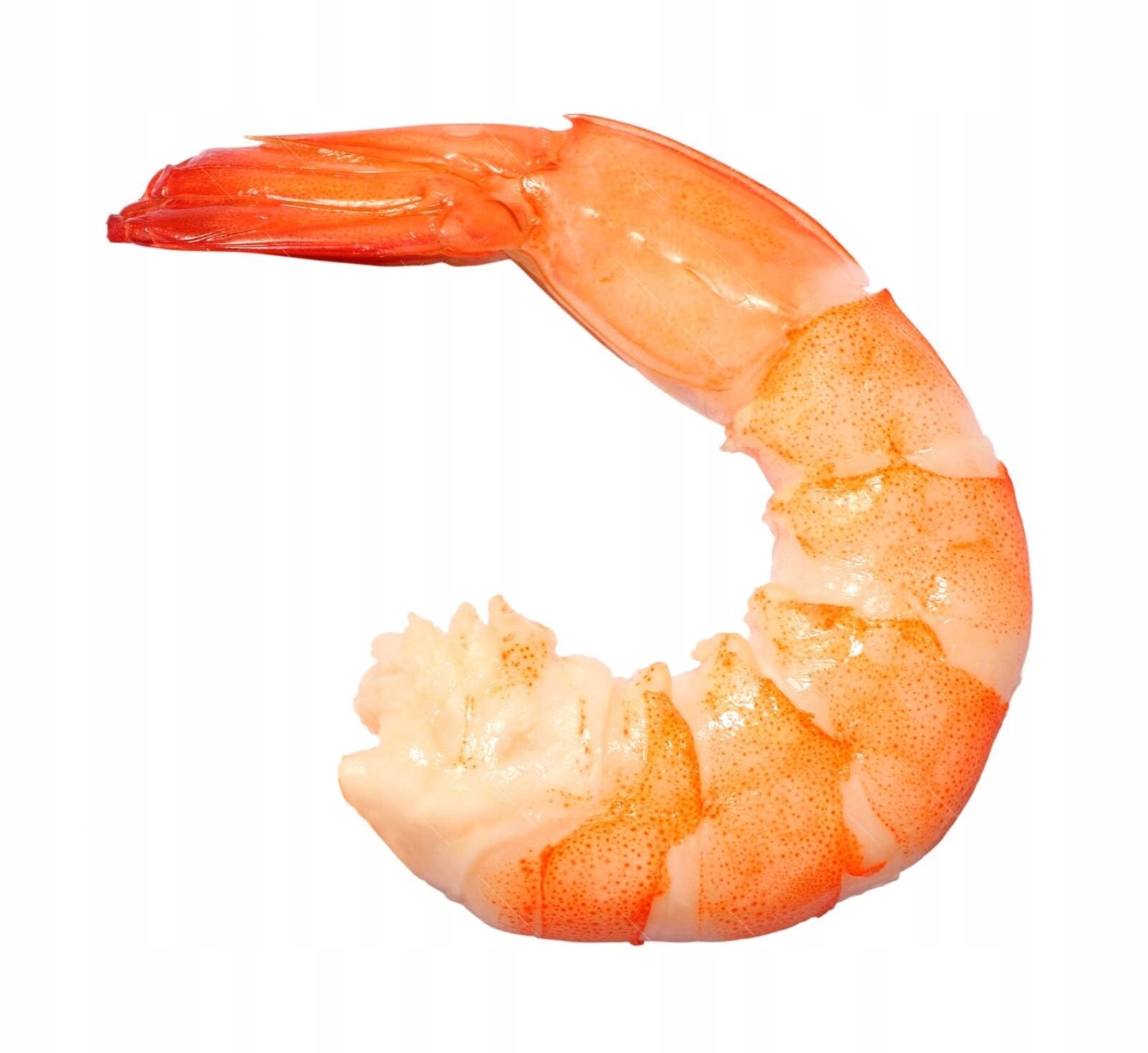 Krewetki Królewskie 16/20 surowe mrożone obrane z ogonkiem Duże 2/1,5 kg