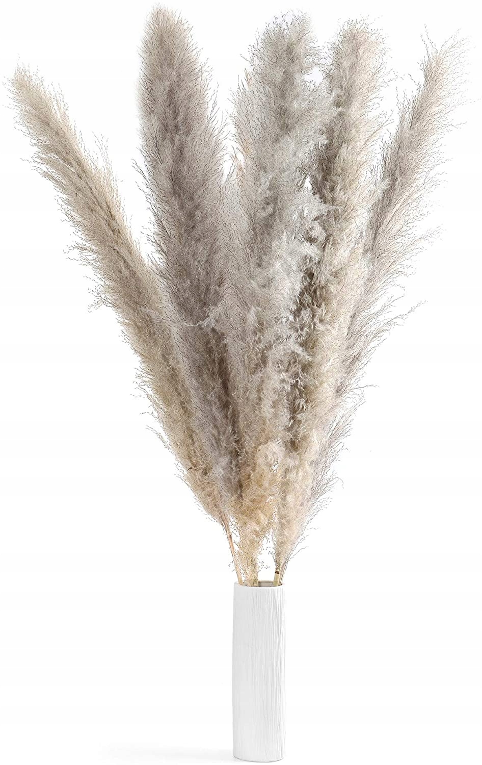 

Trawa Pampasowa Suszona Wazonu Ozdobna Pampasy 110