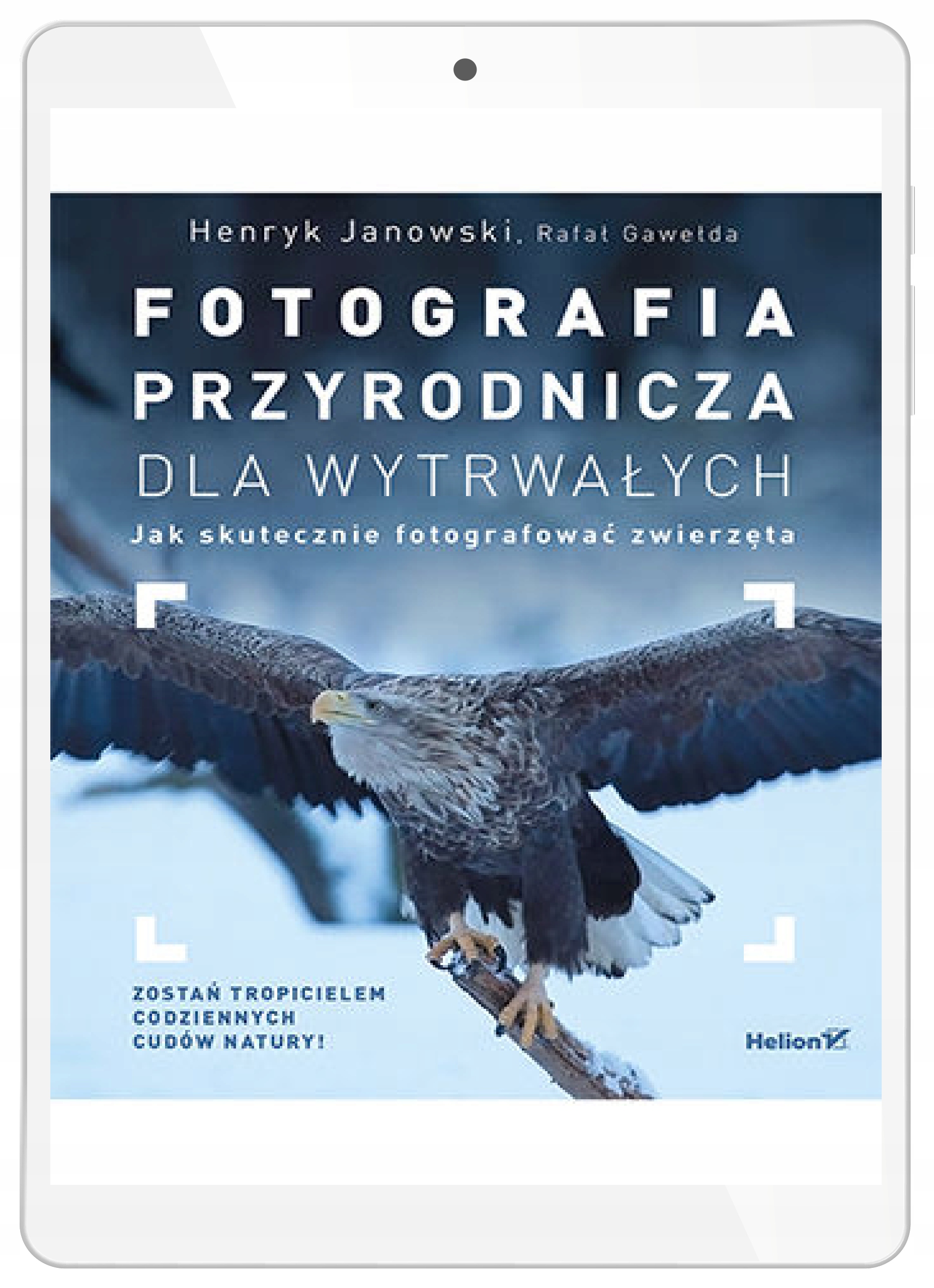 Фотография природы для настойчивых. Как