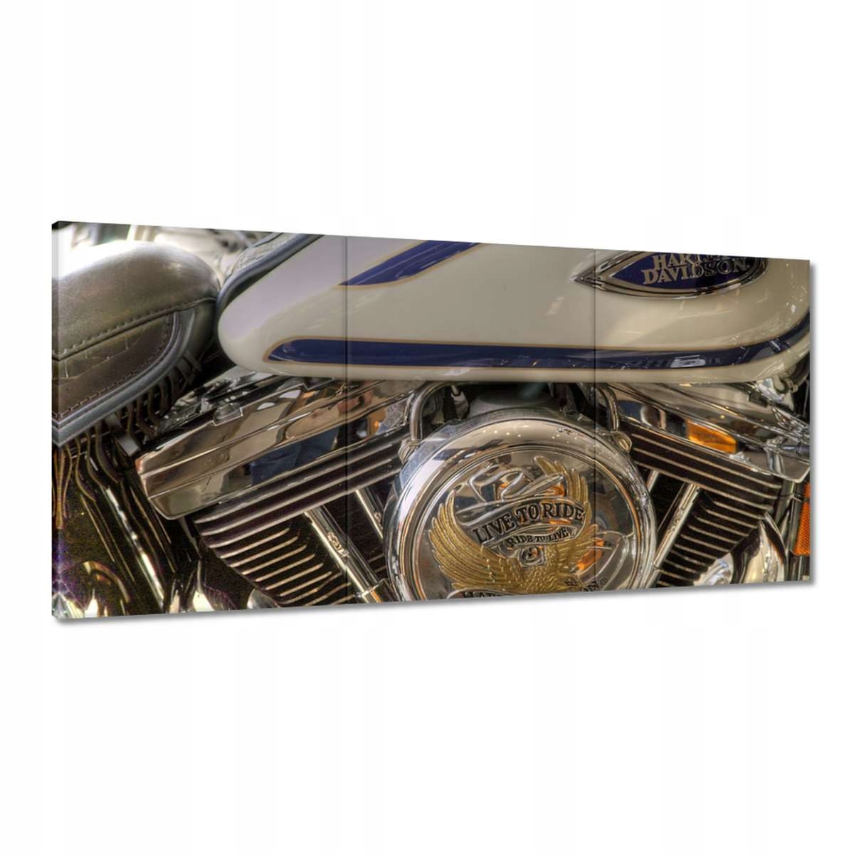 Obrazy 180x90 Harley Davidson Motocykel