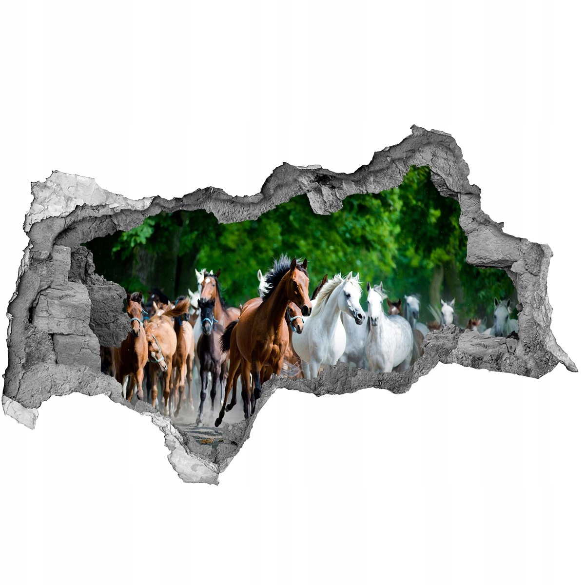 

Dziura 3d fototapeta Naklejka Konie w galopie