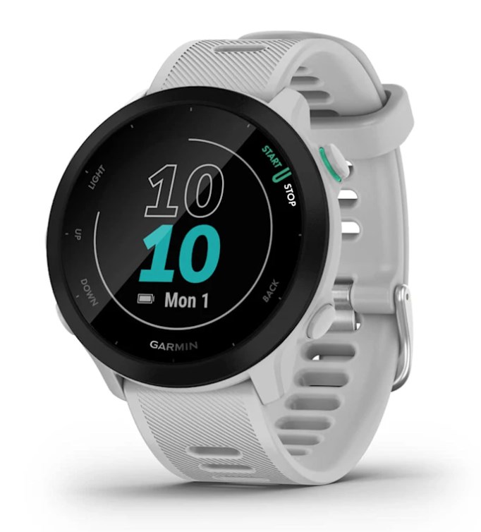 Chytré hodinky Garmin Forerunner 55 Gps 42 mm biele