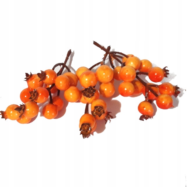 

Dzika róża pomarańcz 1,5cm drucik 3 gałązki owoce