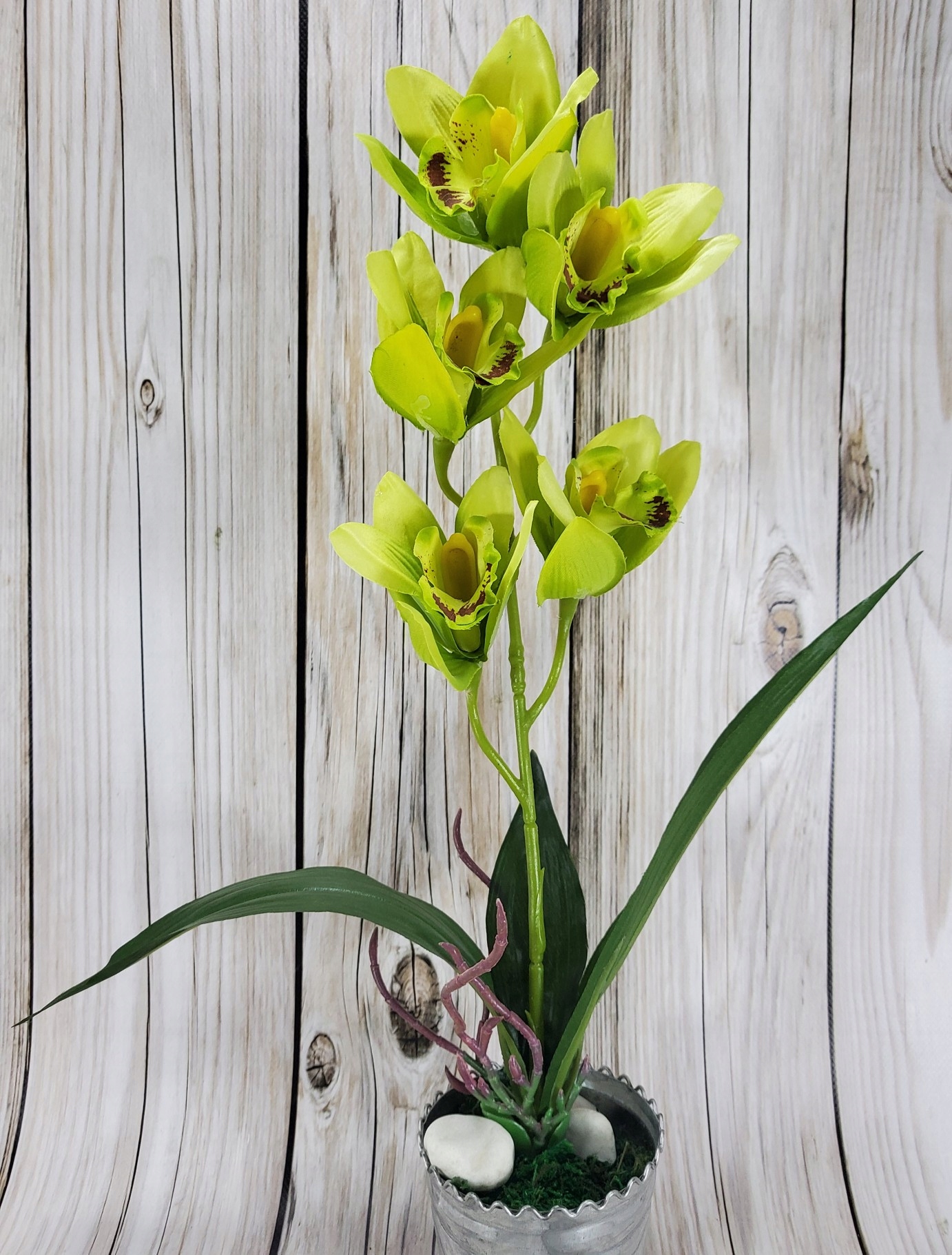 kwiat storczyk w doniczce 50cm — 5