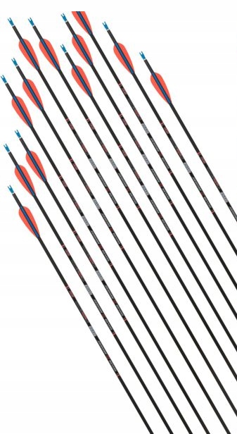 12 šípů do luku karbonová lukostřelba silné spin