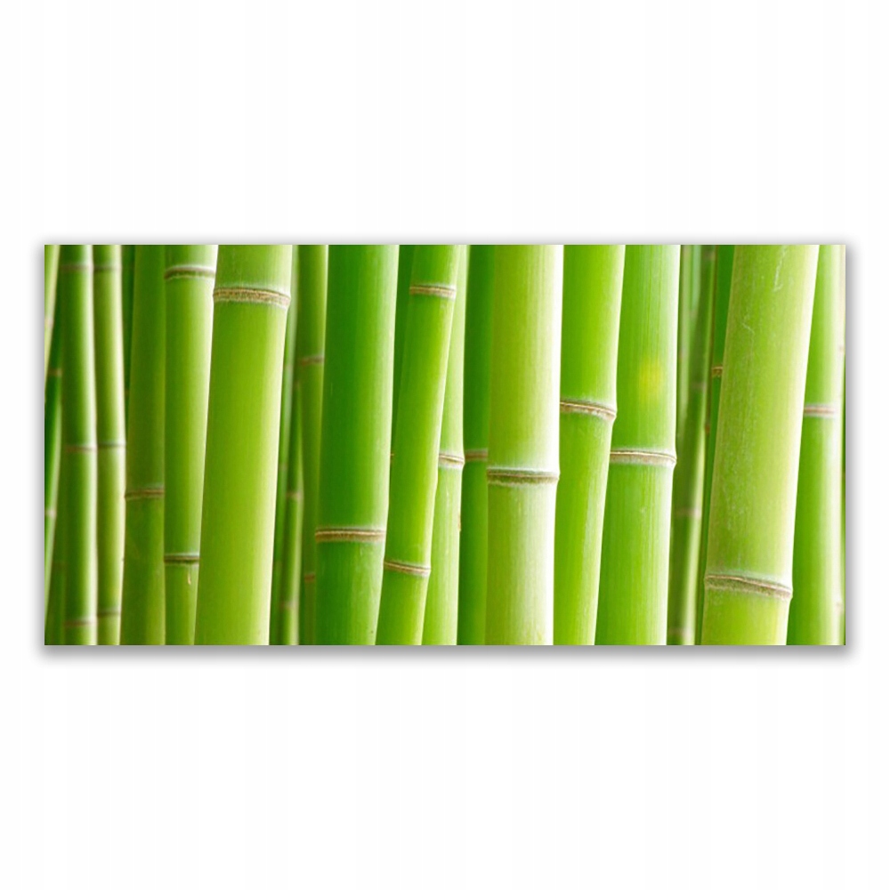 

Obraz akrylowy 120x60 Bambus Łodyga Kwiat Roślina