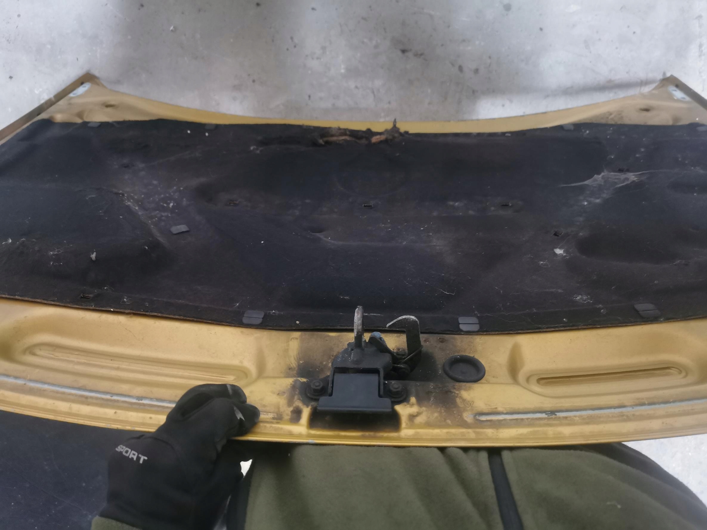 Capot AUDI A3 8L 97-03 EU