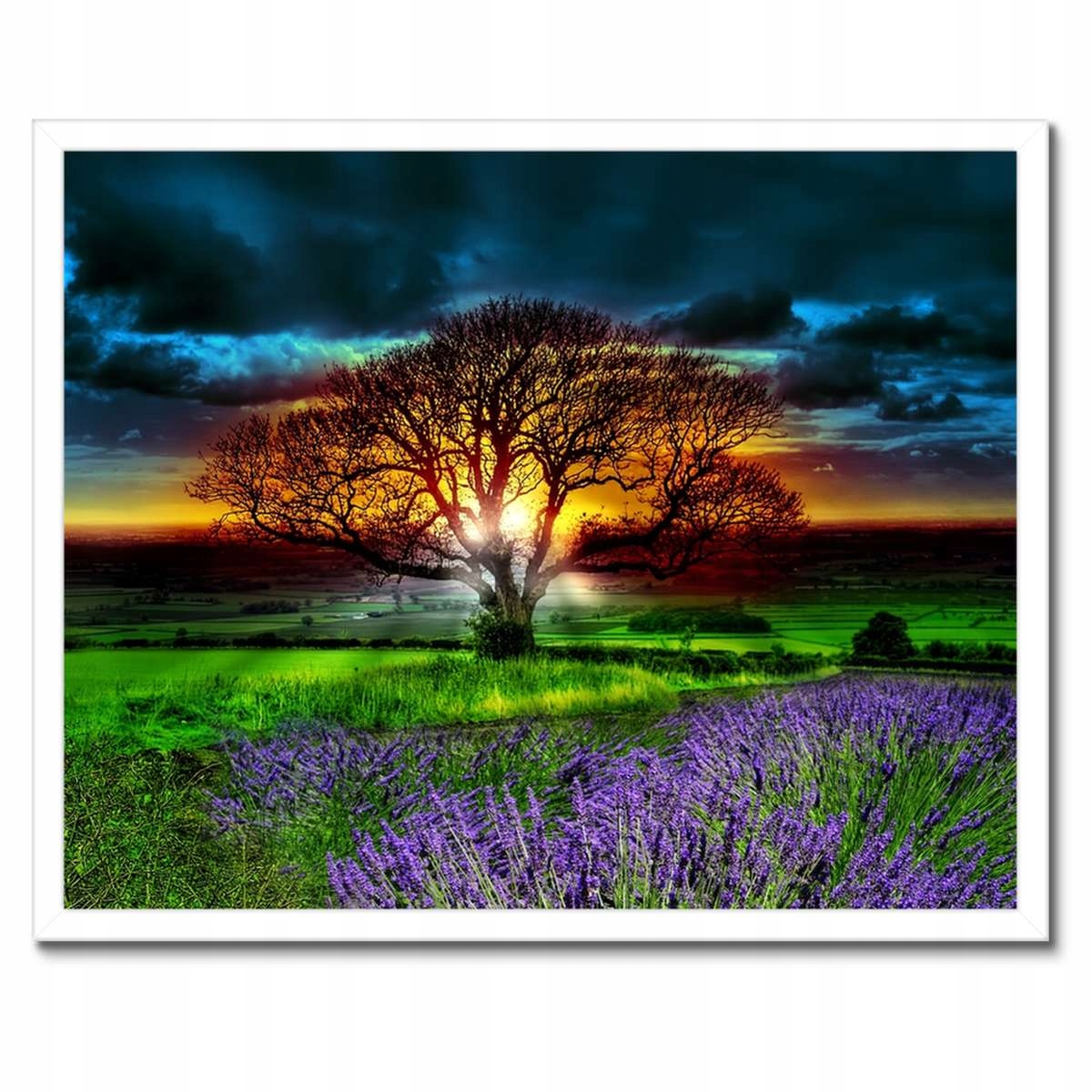 Plakáty v rámu 50x40 Strom života